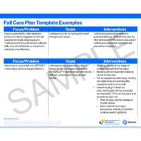 Fall Care Plan Template Examples