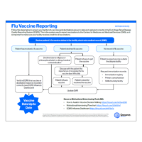 Flu Vaccine Reporting Guidance