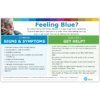 Feeling Blue Poster - English